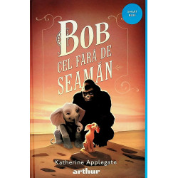 Bob cel fara de seaman