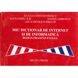Mic dictionar de internet...