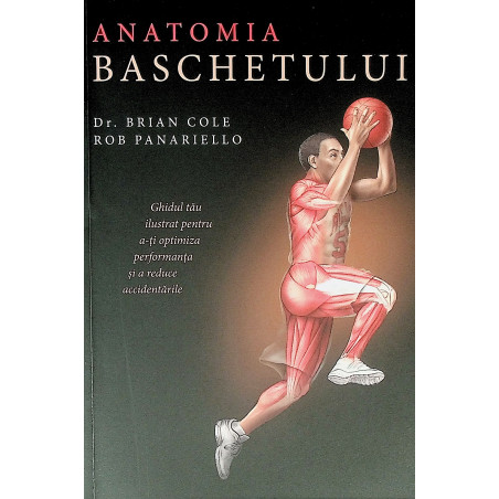 Anatomia baschetului....