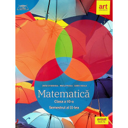 Matematica, clasa a VI-a,...