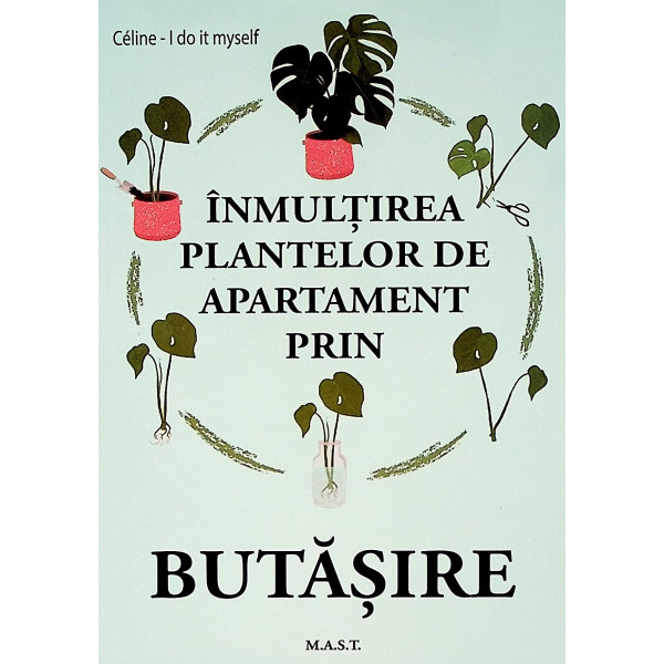 Inmultirea plantelor de apartament prin butasire