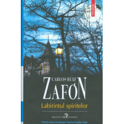 Labirintul spiritelor