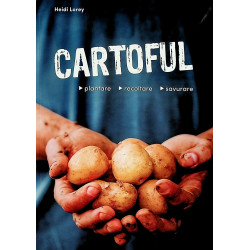 Cartoful - Plantare....