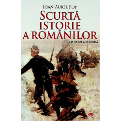 Scurta istorie a roamnilor