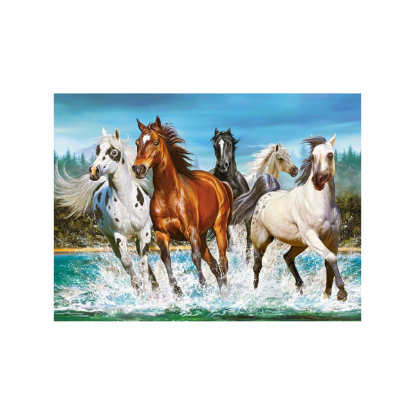 Puzzle Castorland Call of nature