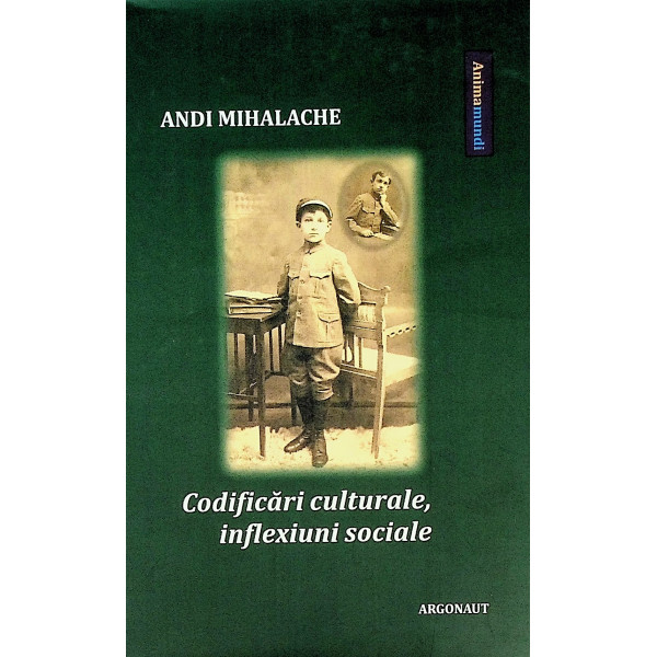Codificari culturale, inflexiuni sociale