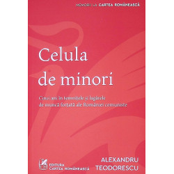 Celula de minori. Cinci ani...