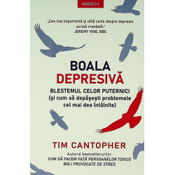 Boala depresiva. Blestemul celor puternici (si cum sa depasesti problemele cel mai des intalnite)