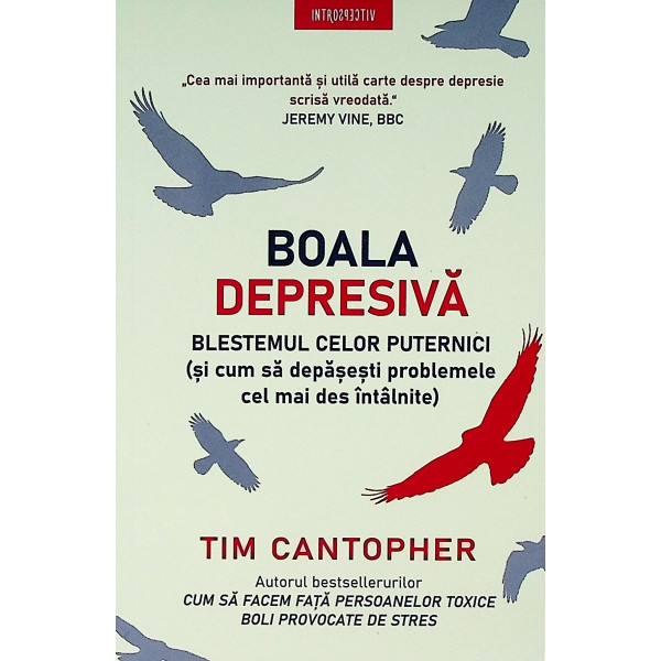 Boala depresiva. Blestemul celor puternici (si cum sa depasesti problemele cel mai des intalnite)