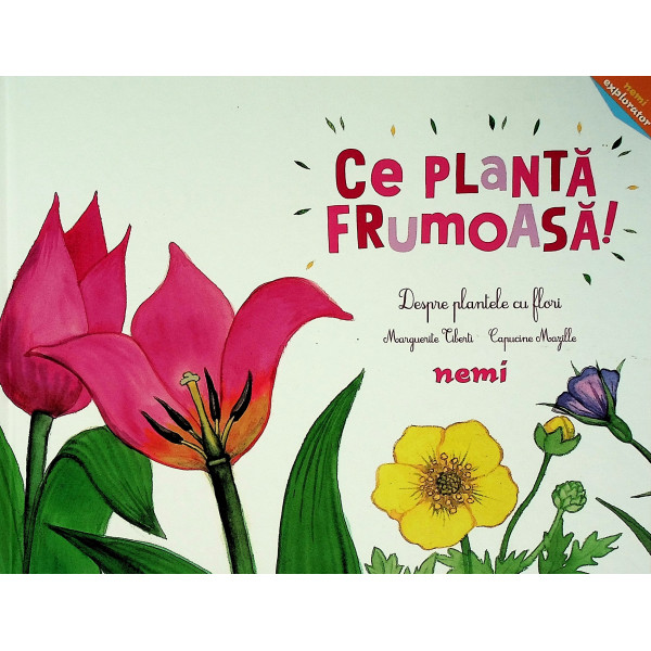 Ce planta frumoasa! Despre plantele cu flori