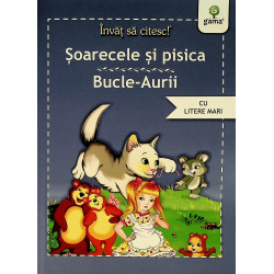 Soarecele si pisica....