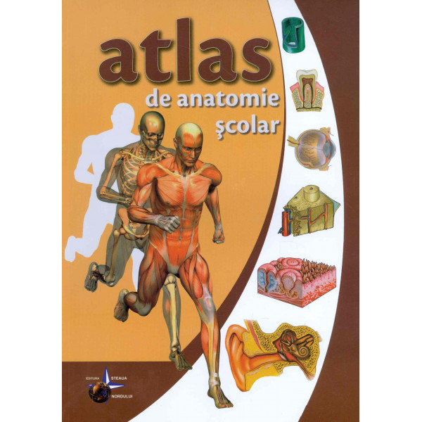 Atlas de anatomie scolar - Anatomia omului