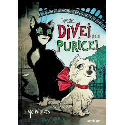 Povestea Divei si a lui...