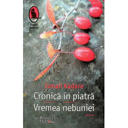 Cronica in piatra. Vremea...