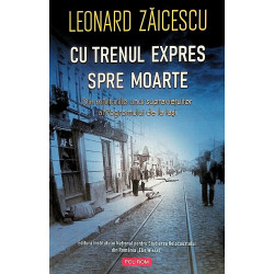 Cu trenul expres spre...