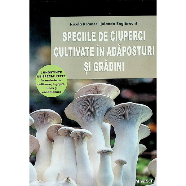 Speciile de ciuperci cultivate in adaposturi si gradini