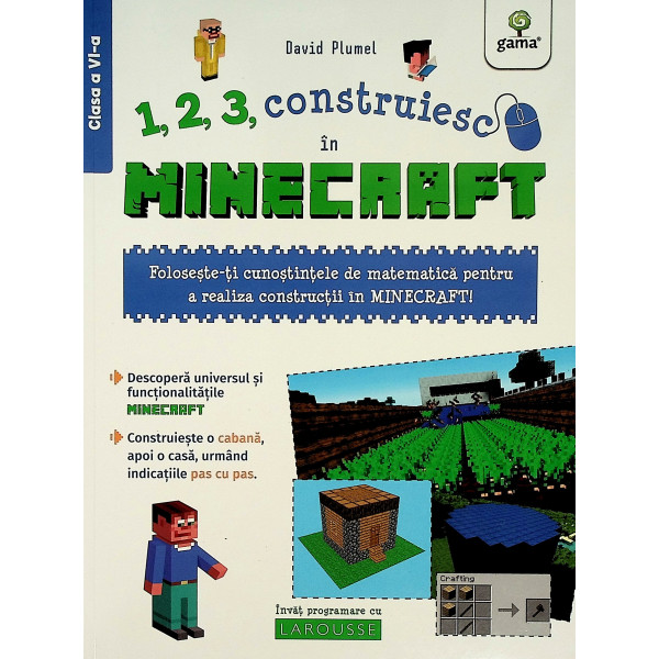 1, 2, 3, construiesc in Minecraft, clasa a V-a
