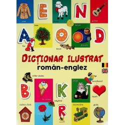 Dictionar ilustrat...