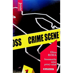 Insomniile unui print valah