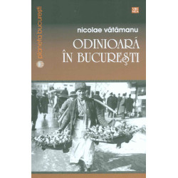 Odinioara in Bucuresti