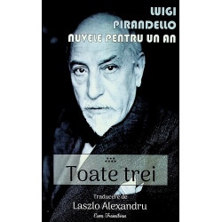 Nuvele pentru un an, vol....