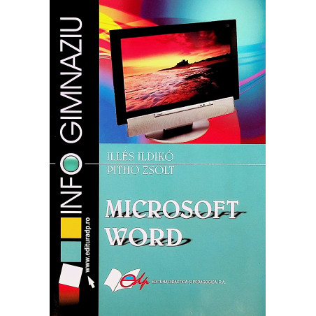 Microsoft Word