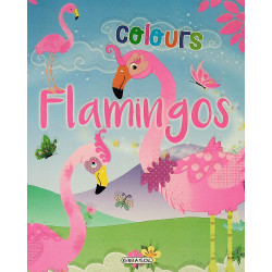 Flamingos - Colours