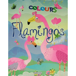 Flamingos - Colours