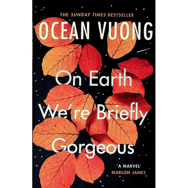 On Earth were Briefly Gorgeous