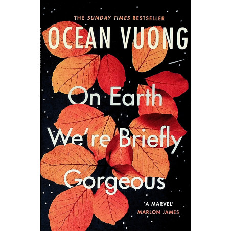 On Earth were Briefly Gorgeous