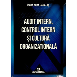 Audit intern, control...