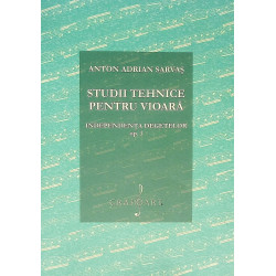 Studii tehnice pentru...