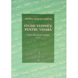 Studii tehnice pentru...