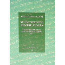 Studii tehnice pentru...