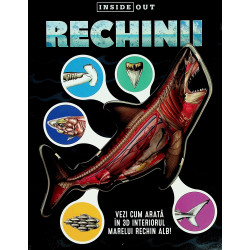 Rechinii. Vezi cum arata in...