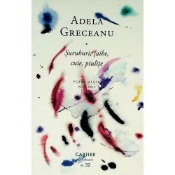 Suruburi, saibe, cuie,...