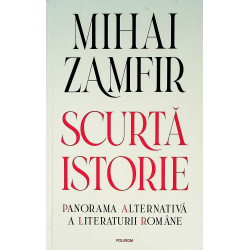 Scurta istorie. Panorama...