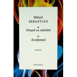 Orasul cu salcami. Accidentul
