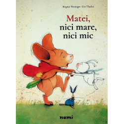 Matei, nici mare, nici mic