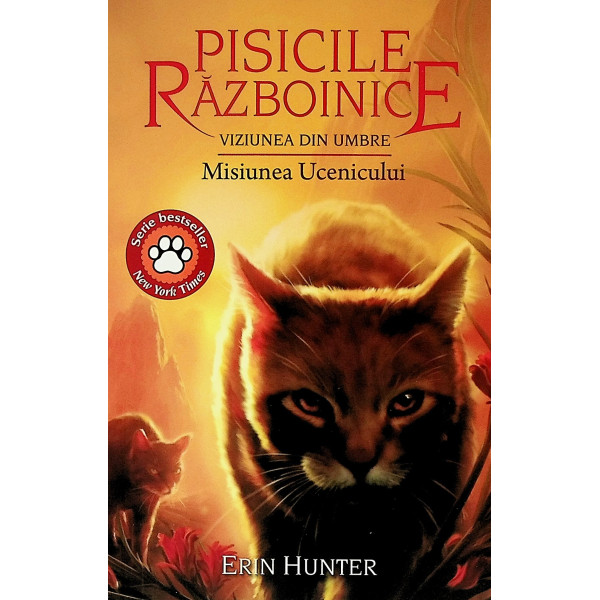 Pisicile razboinice, vol. XXXI - Viziunea din umbra. Misiunea ucenicului