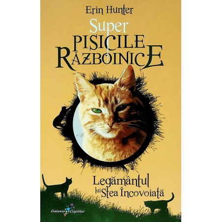 Super pisicile razboinice....