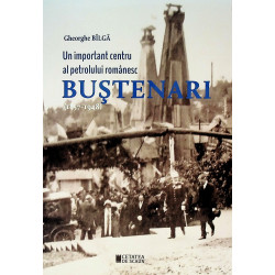 Un important centru al...