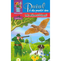 Puiul si alte povestiri alese
