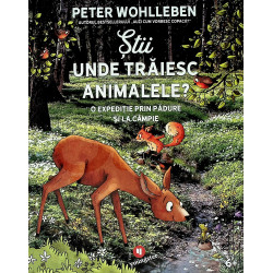 Stii unde traiesc animalele? O expeditie prin padure si la campie