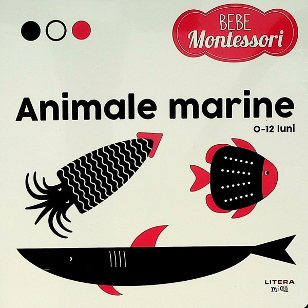 Animale marine, 0-12 luni