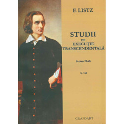 Studii de executie...