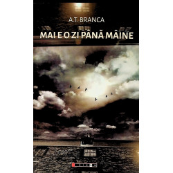 Mai e o zi pana maine