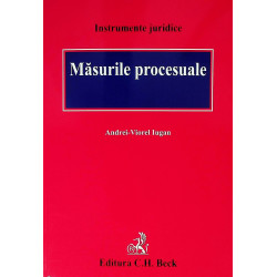 Masurile procesuale