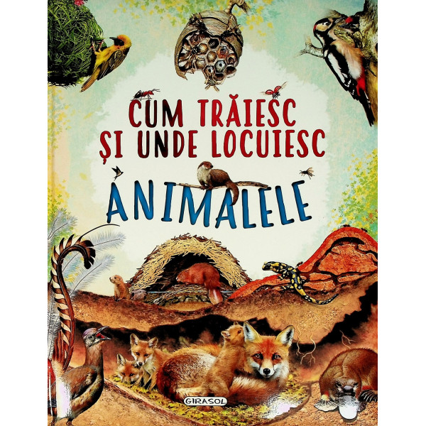 Cum traiesc si unde locuiesc animalele