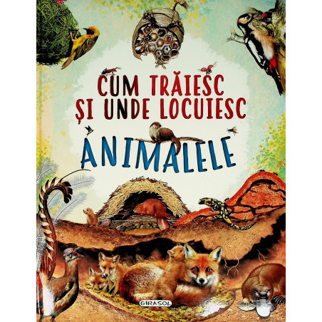 Cum traiesc si unde...